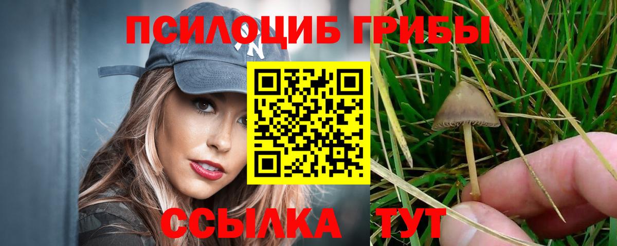 Псилоцибиновые грибы мицелий Волгоград